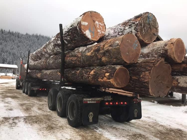 Early commercial timber project supplied by the Hyde family sawmill