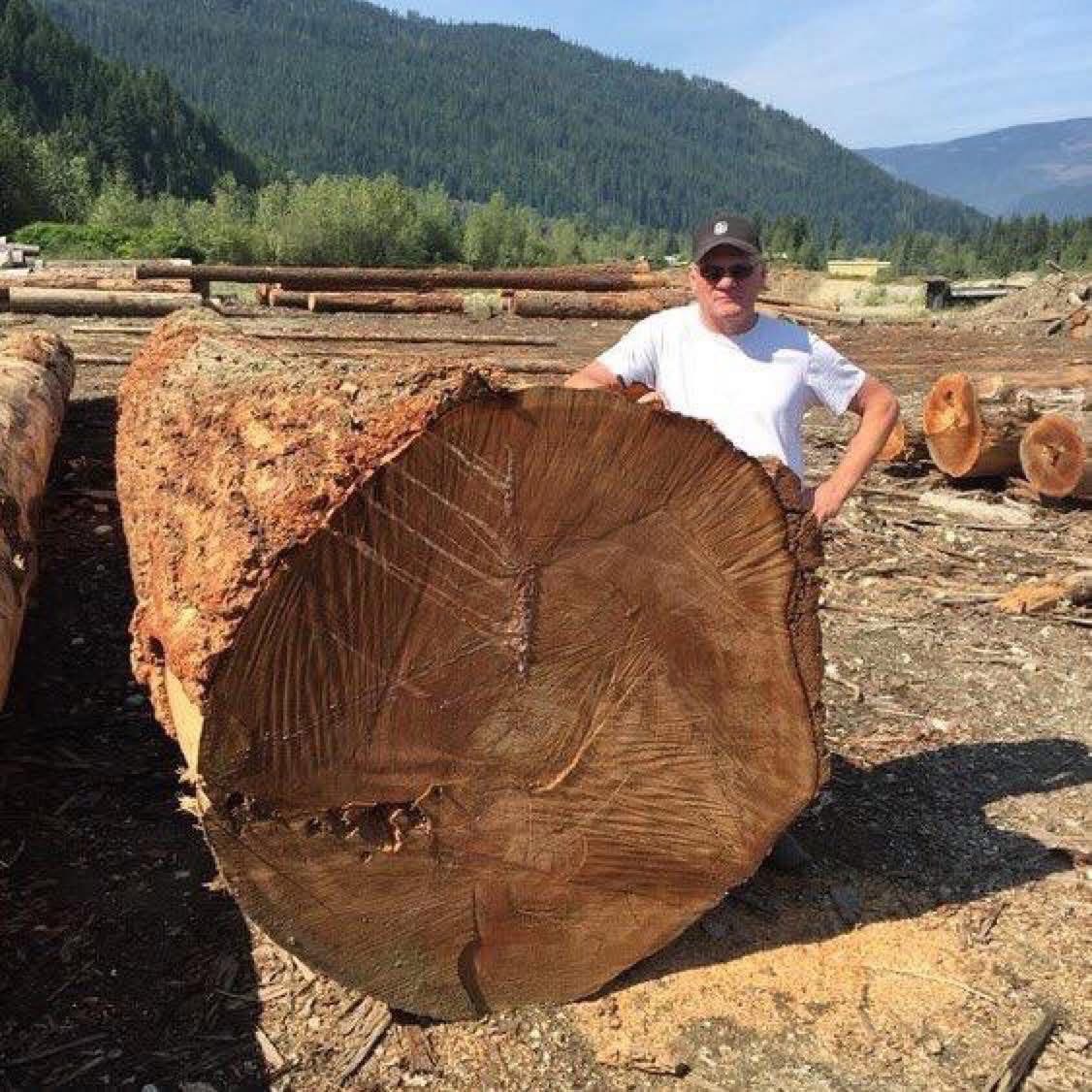 Historic Hyde Sawmill family lumber business in British Columbia